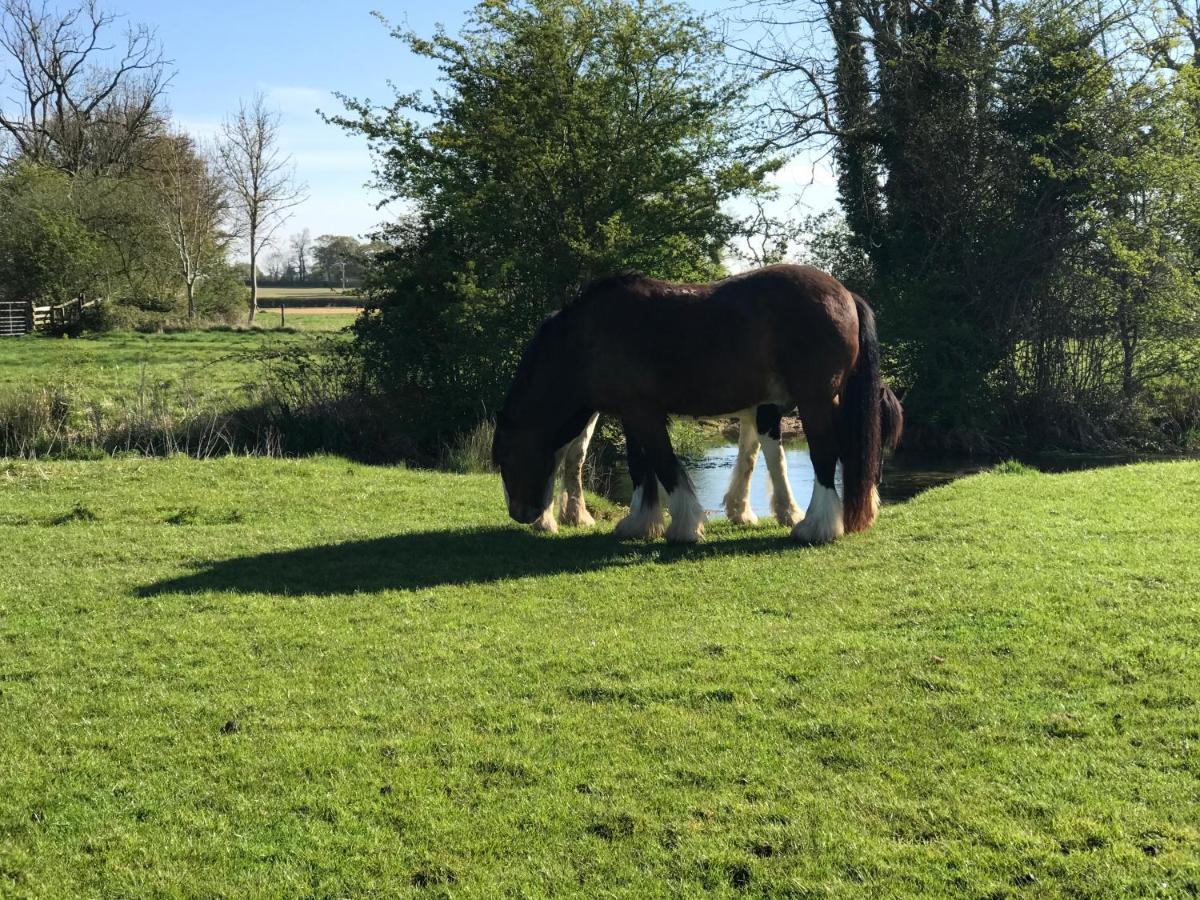Tupenny Cottage, Old Mill Farm, Cotswold Water Park 赛伦塞斯特 外观 照片