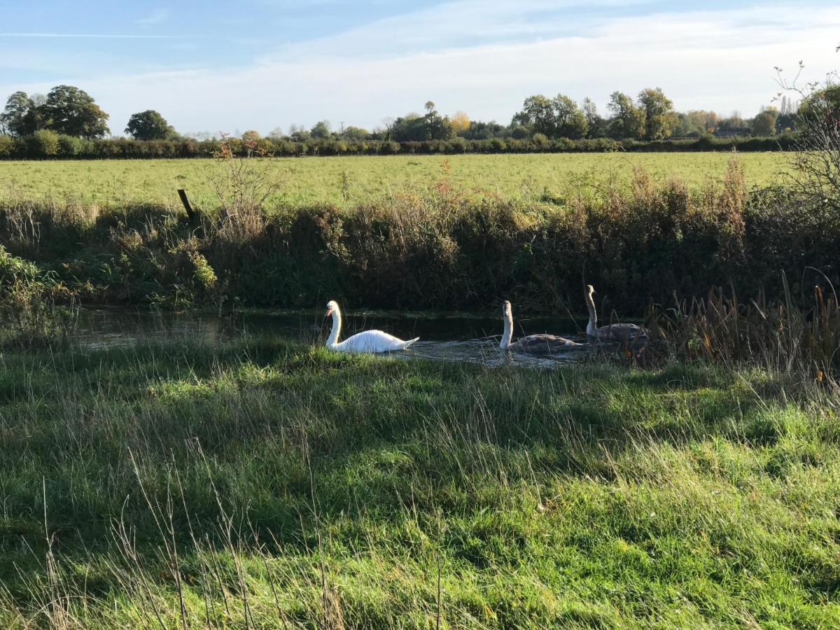 Tupenny Cottage, Old Mill Farm, Cotswold Water Park 赛伦塞斯特 外观 照片