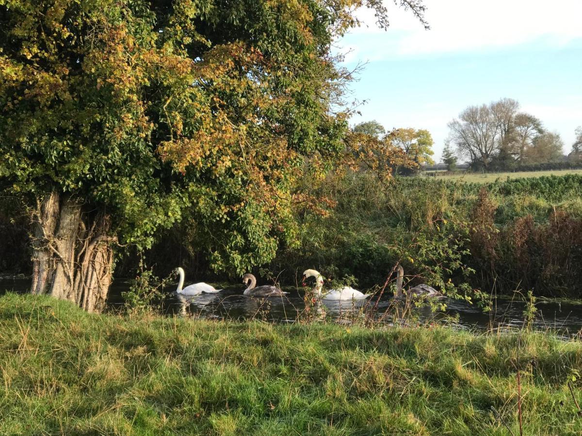 Tupenny Cottage, Old Mill Farm, Cotswold Water Park 赛伦塞斯特 外观 照片